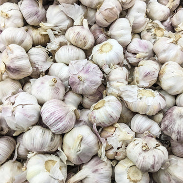 Oddly Garlic